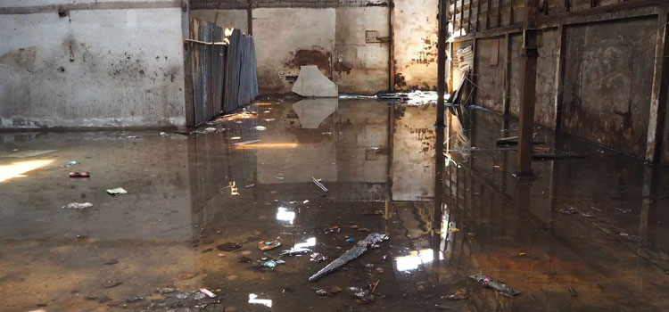 Basement Flood Cleanup Services in Morgantown, WV