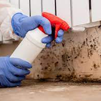 Home Mold Remediation in Charlotte, NC
