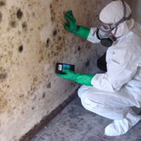 Mold Remediation Contractor in Houston, TX