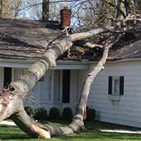 Professional Storm Damage Restoration in Wilmington, DE