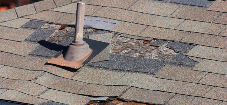 Roof Damage Solution in Dallas, TX