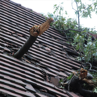 Roof Storm Damage Repair in Albany, NY