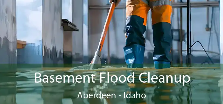 Basement Flood Cleanup Aberdeen - Idaho