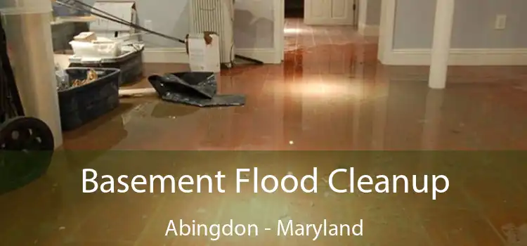 Basement Flood Cleanup Abingdon - Maryland