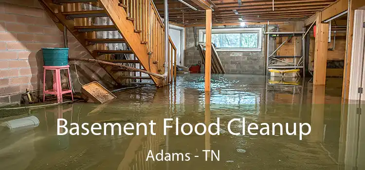 Basement Flood Cleanup Adams - TN