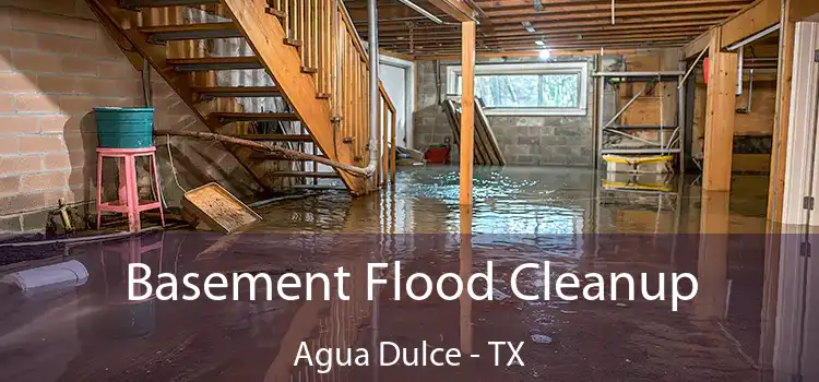 Basement Flood Cleanup Agua Dulce - TX