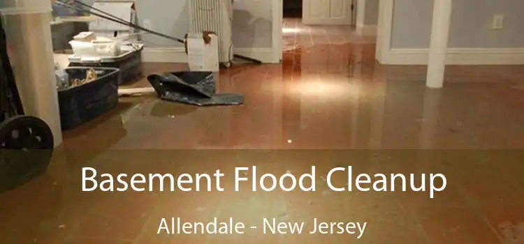 Basement Flood Cleanup Allendale - New Jersey