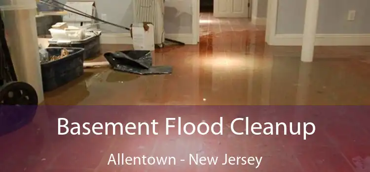 Basement Flood Cleanup Allentown - New Jersey