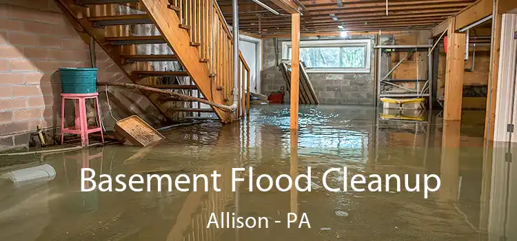 Basement Flood Cleanup Allison - PA