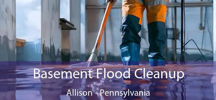 Basement Flood Cleanup Allison - Pennsylvania