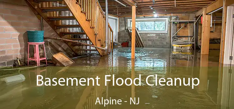 Basement Flood Cleanup Alpine - NJ