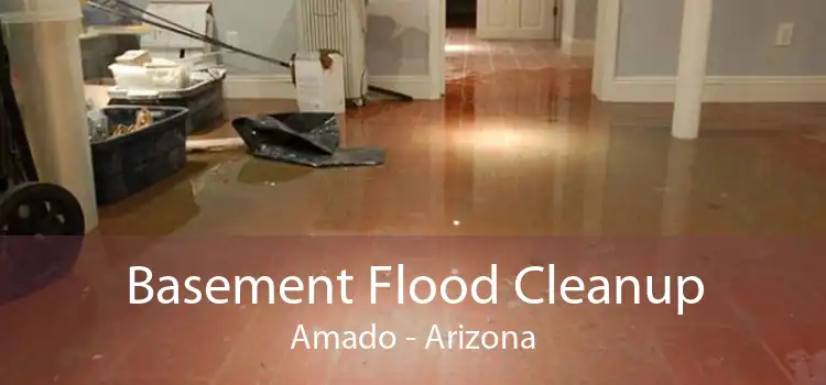 Basement Flood Cleanup Amado - Arizona