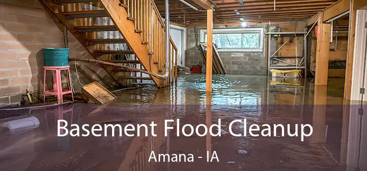 Basement Flood Cleanup Amana - IA