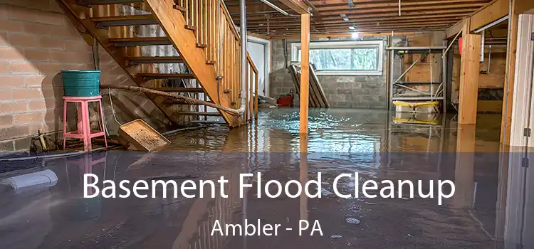 Basement Flood Cleanup Ambler - PA