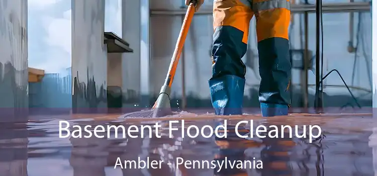 Basement Flood Cleanup Ambler - Pennsylvania