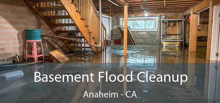 Basement Flood Cleanup Anaheim - CA