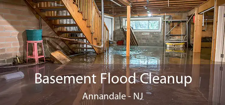 Basement Flood Cleanup Annandale - NJ