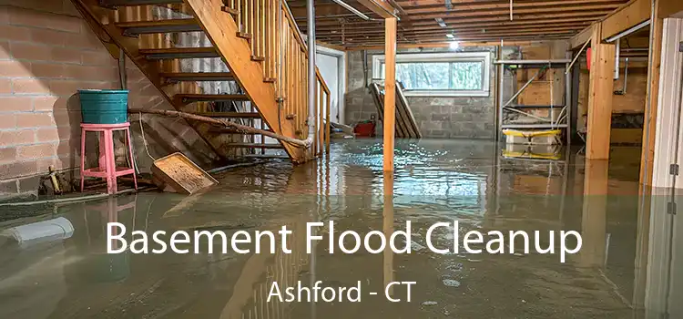 Basement Flood Cleanup Ashford - CT