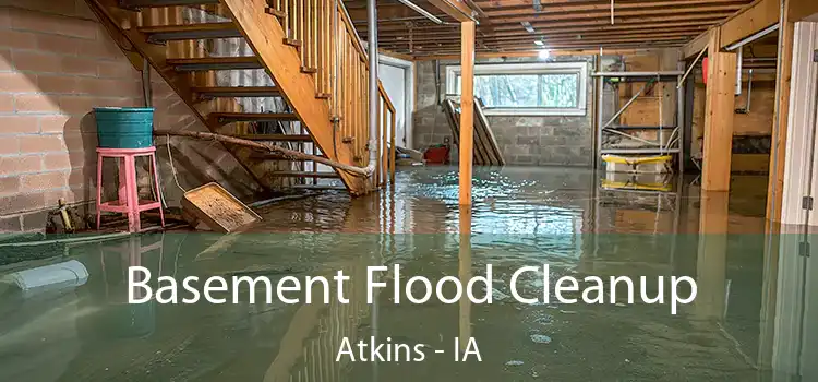 Basement Flood Cleanup Atkins - IA