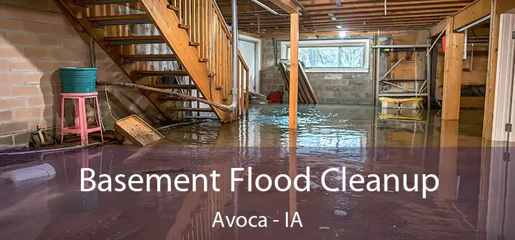 Basement Flood Cleanup Avoca - IA