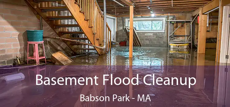 Basement Flood Cleanup Babson Park - MA