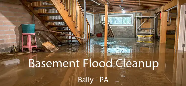 Basement Flood Cleanup Bally - PA