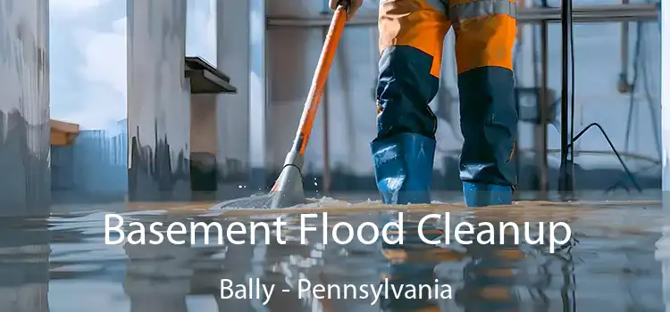 Basement Flood Cleanup Bally - Pennsylvania