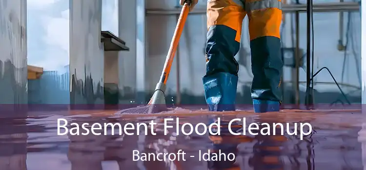 Basement Flood Cleanup Bancroft - Idaho