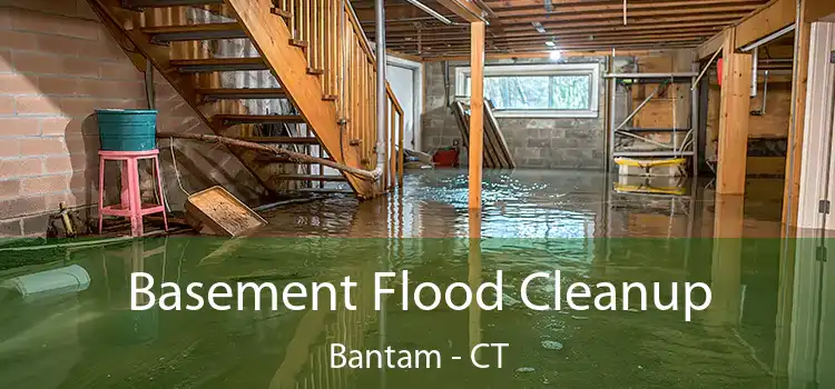 Basement Flood Cleanup Bantam - CT