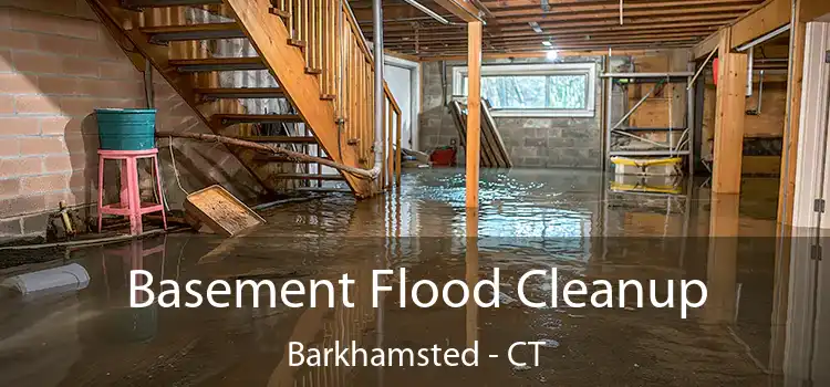 Basement Flood Cleanup Barkhamsted - CT