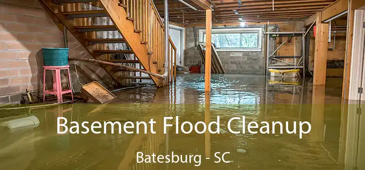 Basement Flood Cleanup Batesburg - SC