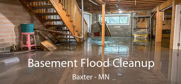 Basement Flood Cleanup Baxter - MN