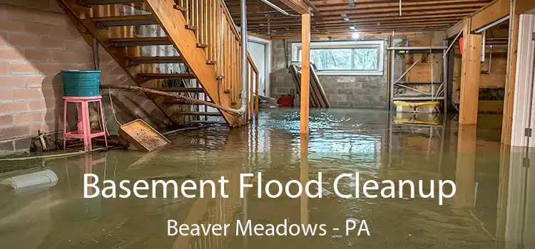 Basement Flood Cleanup Beaver Meadows - PA