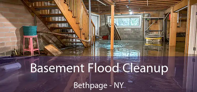 Basement Flood Cleanup Bethpage - NY