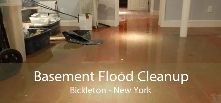 Basement Flood Cleanup Bickleton - New York