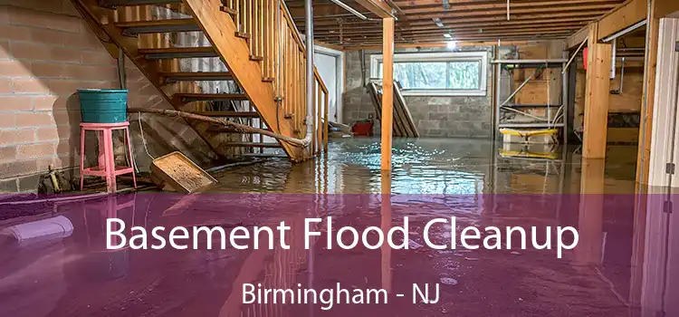 Basement Flood Cleanup Birmingham - NJ