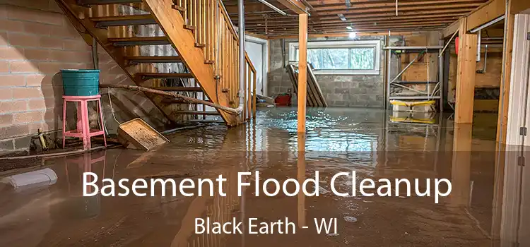 Basement Flood Cleanup Black Earth - WI