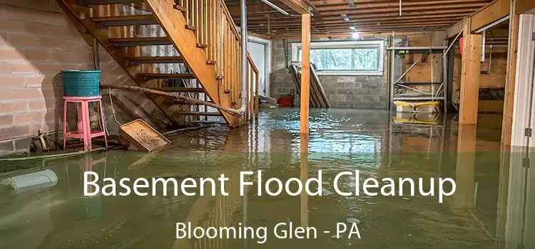 Basement Flood Cleanup Blooming Glen - PA