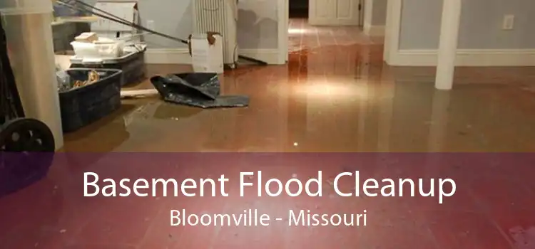Basement Flood Cleanup Bloomville - Missouri