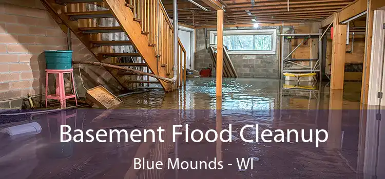 Basement Flood Cleanup Blue Mounds - WI