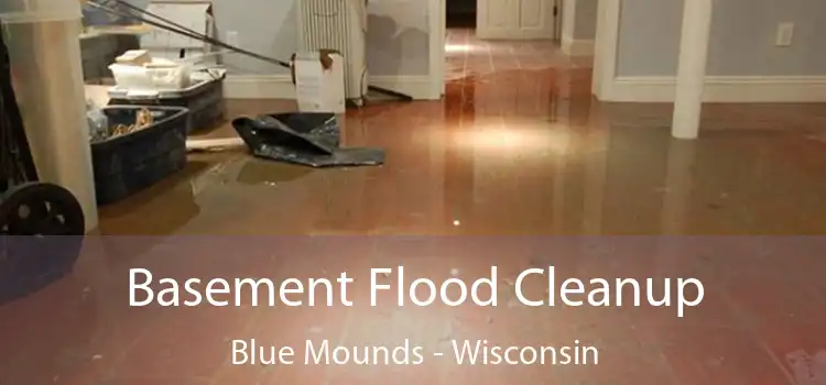 Basement Flood Cleanup Blue Mounds - Wisconsin