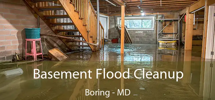 Basement Flood Cleanup Boring - MD