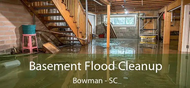 Basement Flood Cleanup Bowman - SC