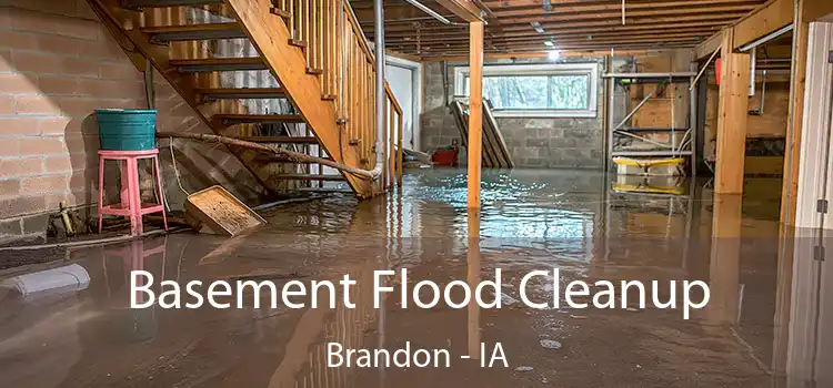 Basement Flood Cleanup Brandon - IA