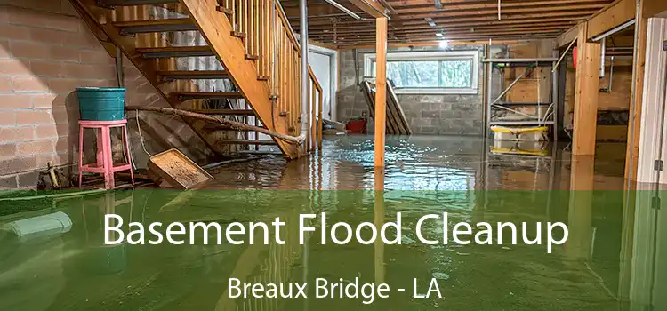 Basement Flood Cleanup Breaux Bridge - LA