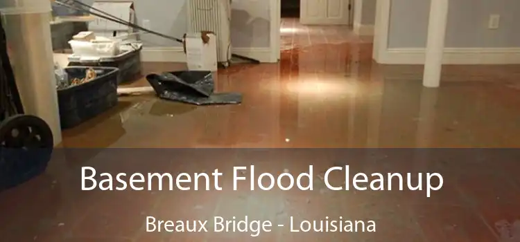 Basement Flood Cleanup Breaux Bridge - Louisiana