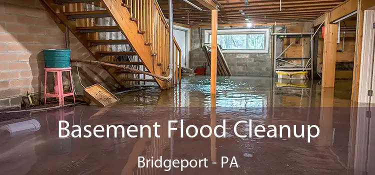 Basement Flood Cleanup Bridgeport - PA