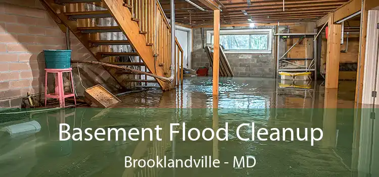 Basement Flood Cleanup Brooklandville - MD