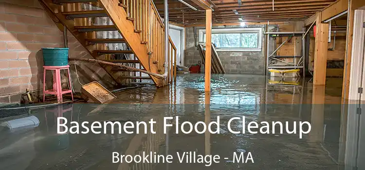 Basement Flood Cleanup Brookline Village - MA