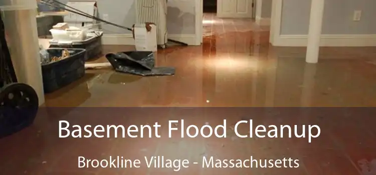 Basement Flood Cleanup Brookline Village - Massachusetts